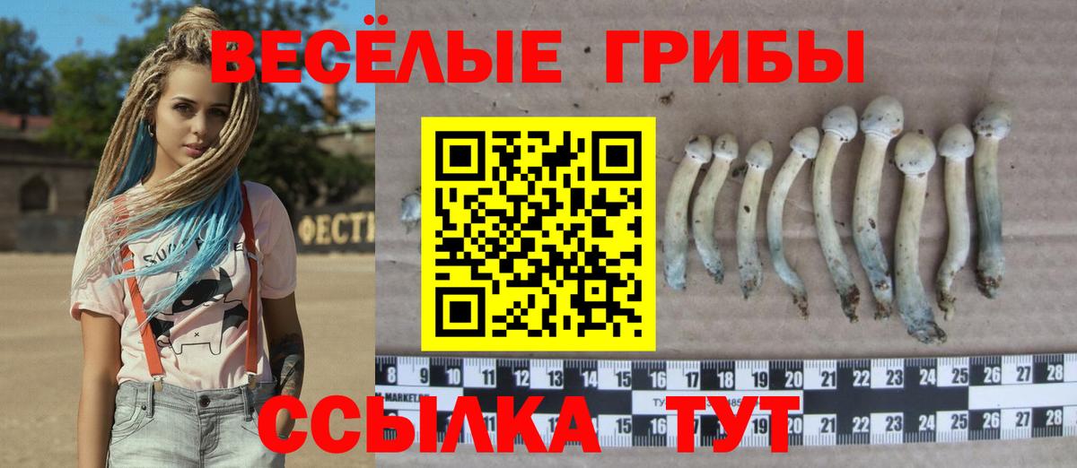 Белебей  Псилоцибиновые грибы Magic Shrooms  Вход с VPN  Галлюциногенные грибы мухоморы 